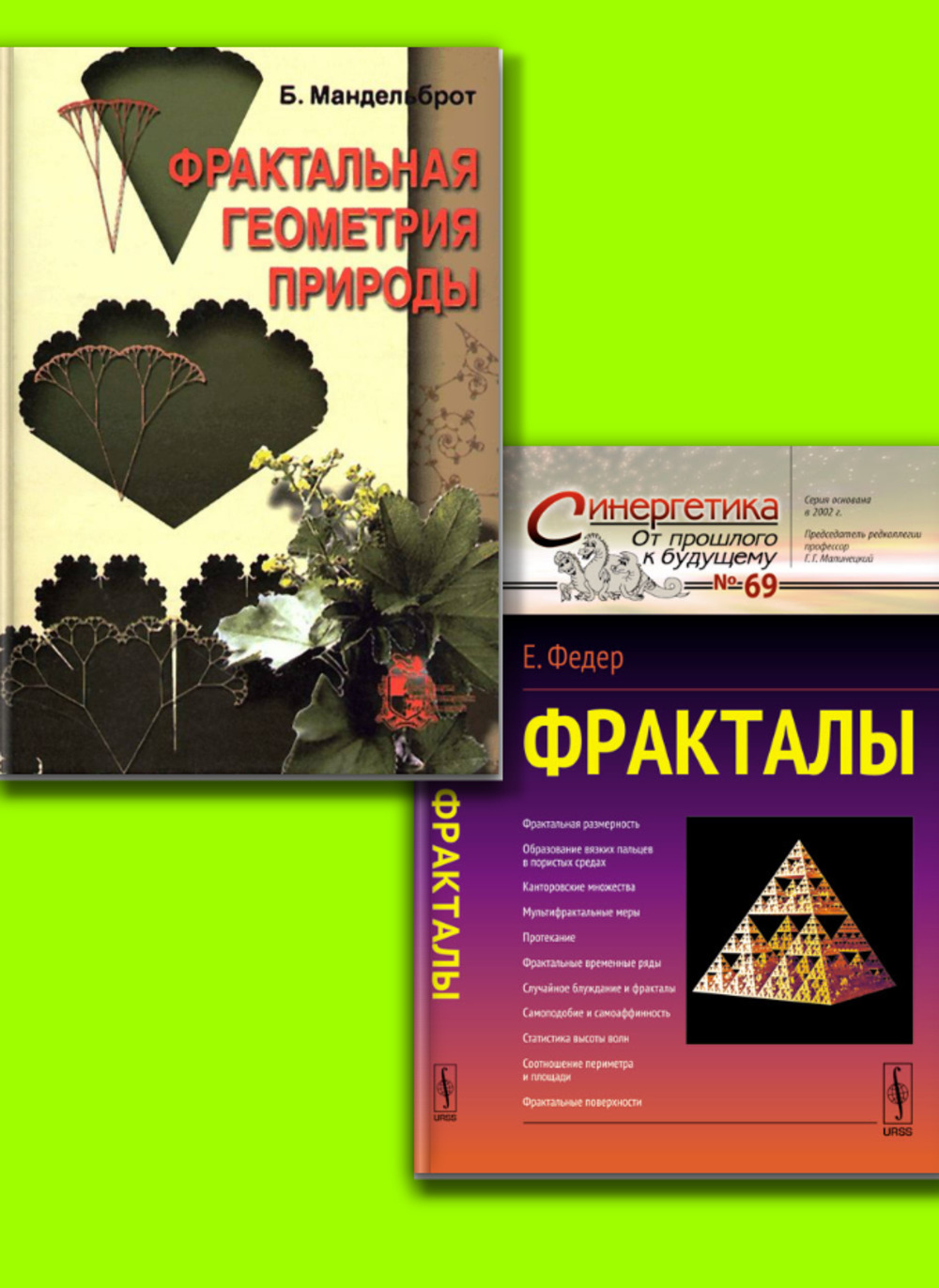 Обложка Мандельброт Б.Б.; Федер Е. КОМПЛЕКТ: 1. Фрактальная геометрия природы. 2. Фракталы